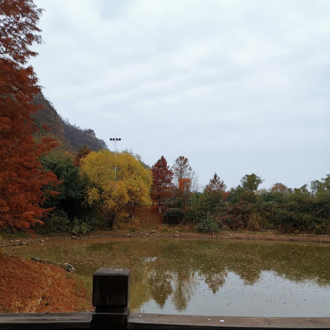 悠悠出山水
