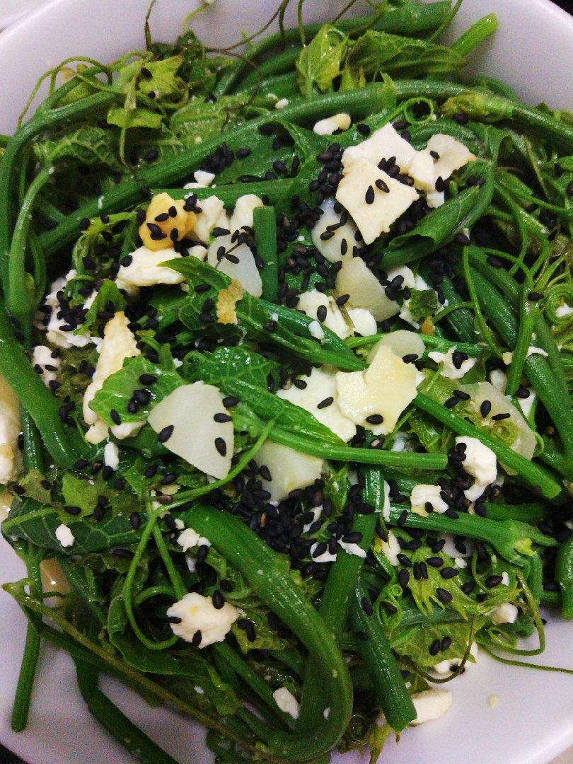 手机用户5708qp9j做的上汤南瓜苗