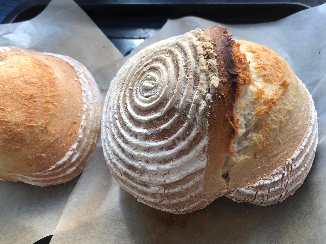 3.5小时快速直接法欧包丨免揉免机打免酵种