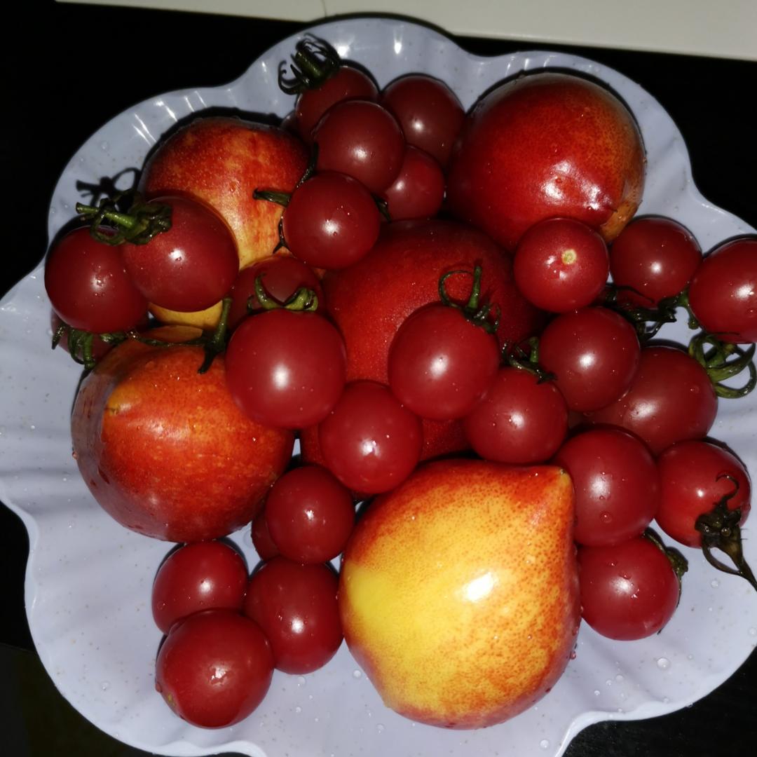一锅乱煮