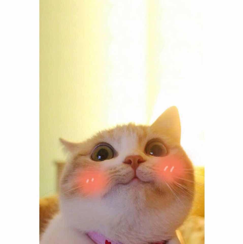 每天吃吃吃什么