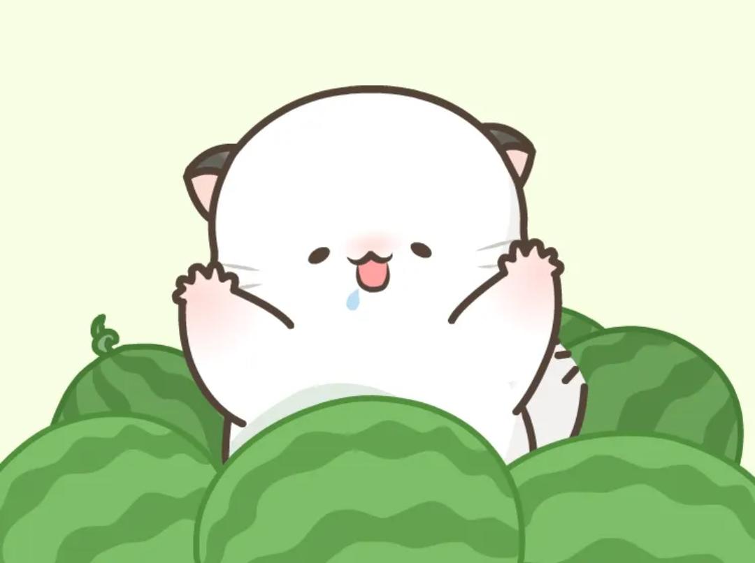 翻滚吧四毛毛