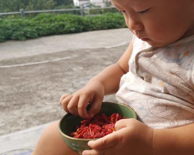 米胖的小零食—小番茄干