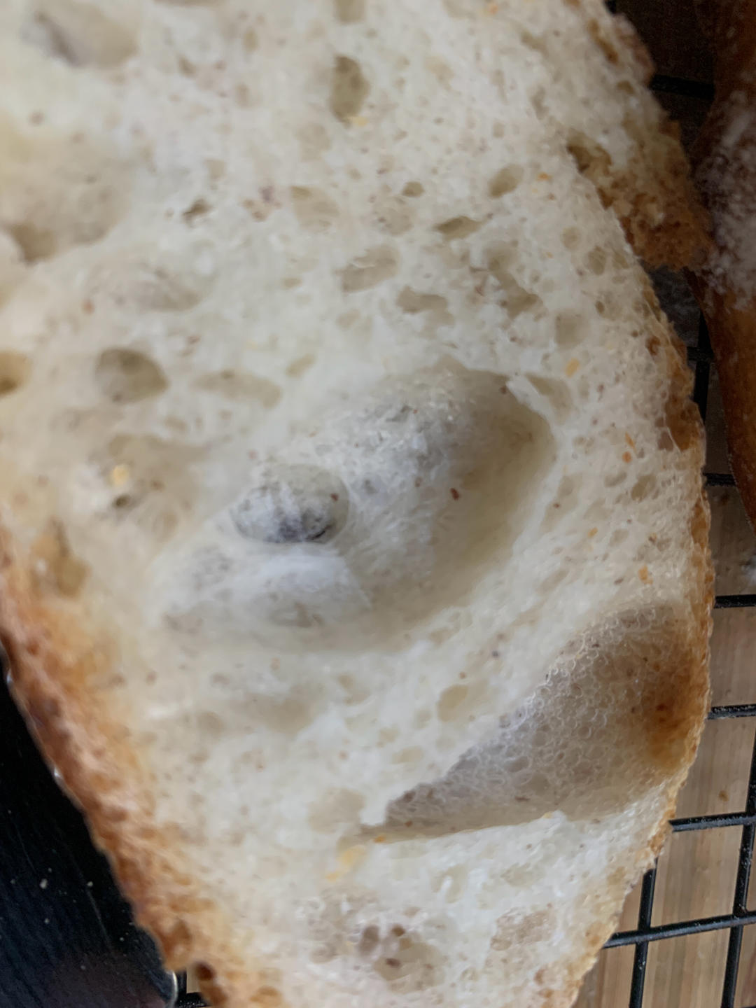 家庭版波兰种法棍