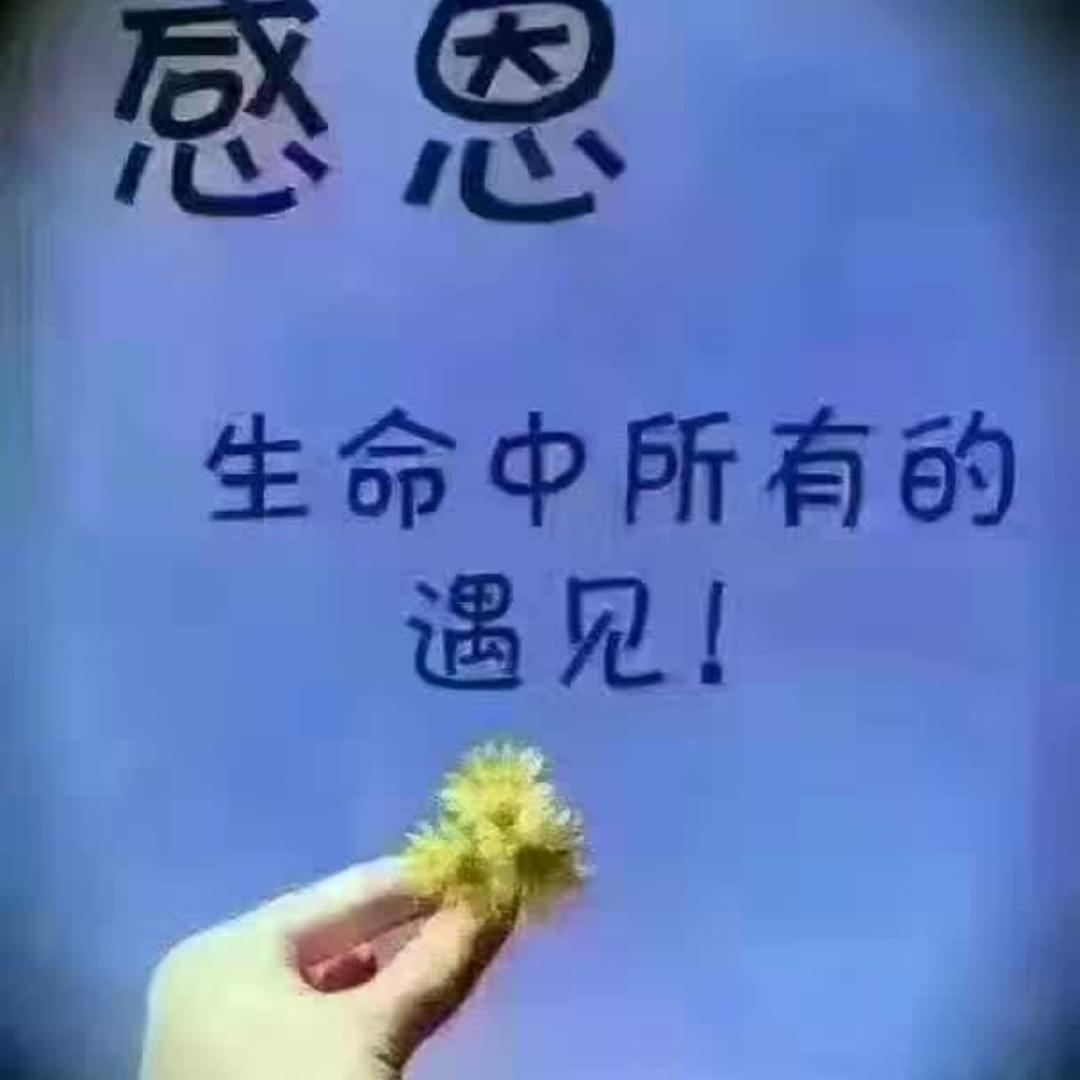 小小小小白天鹅