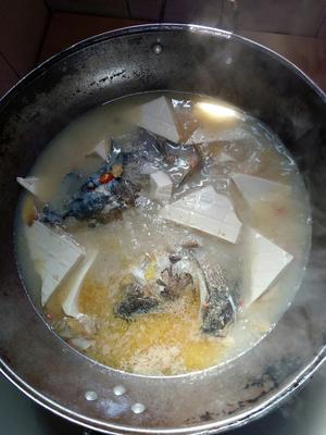 水煮鱼头的做法 步骤4