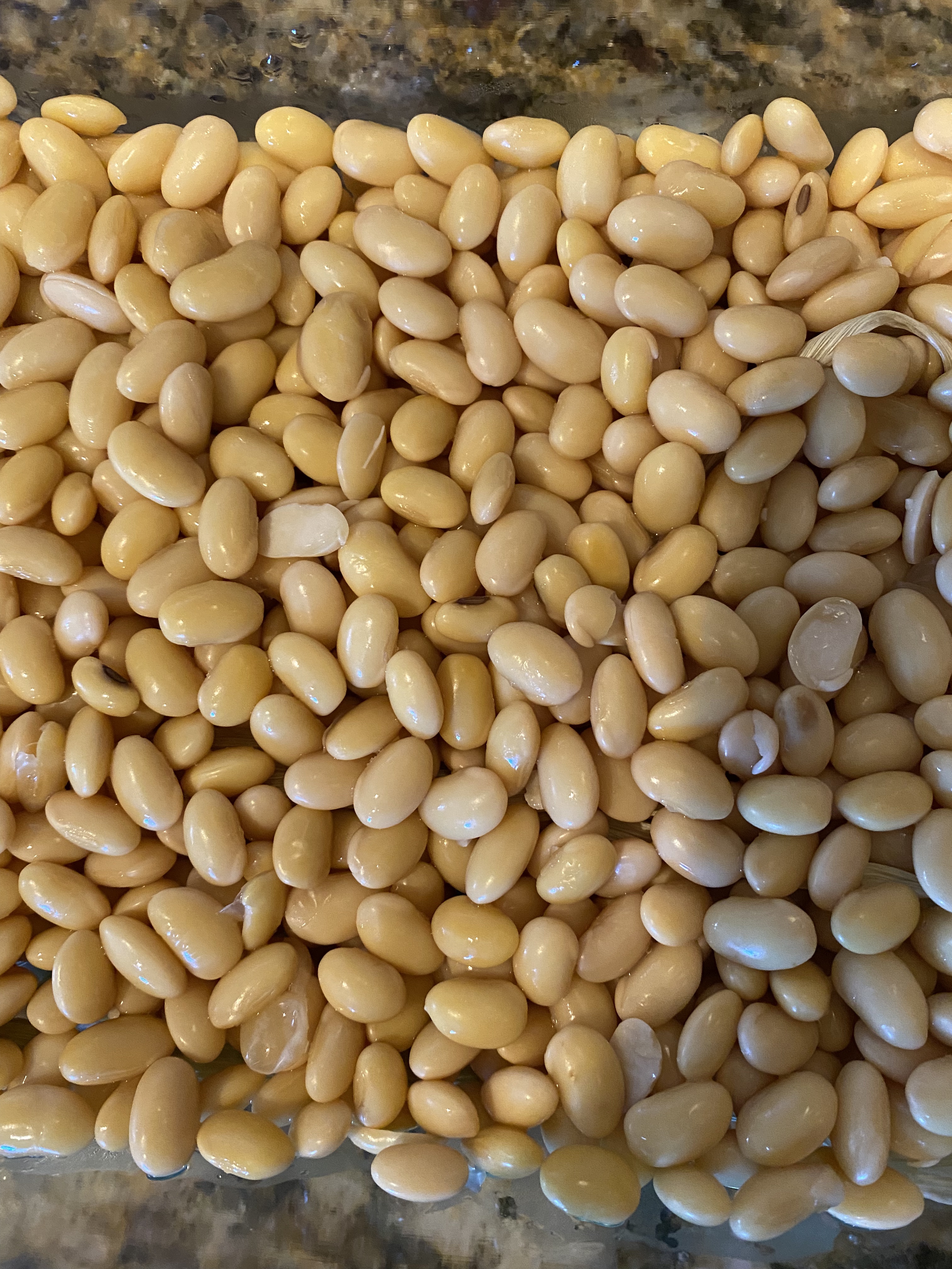 超级下饭神器—黄豆变纳豆/水豆豉/腊八豆的做法 步骤5