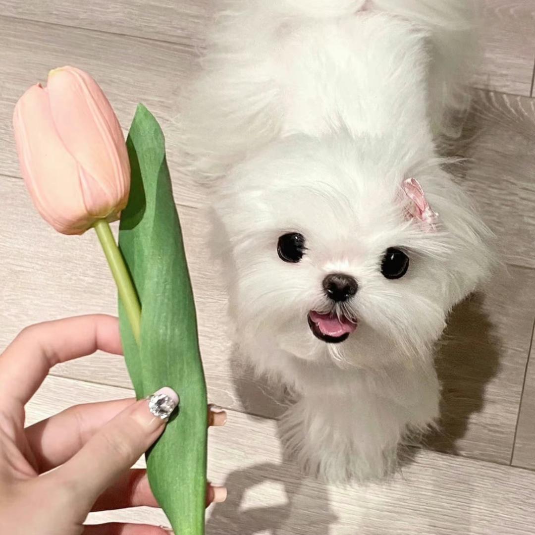 我做的菜都很美味
