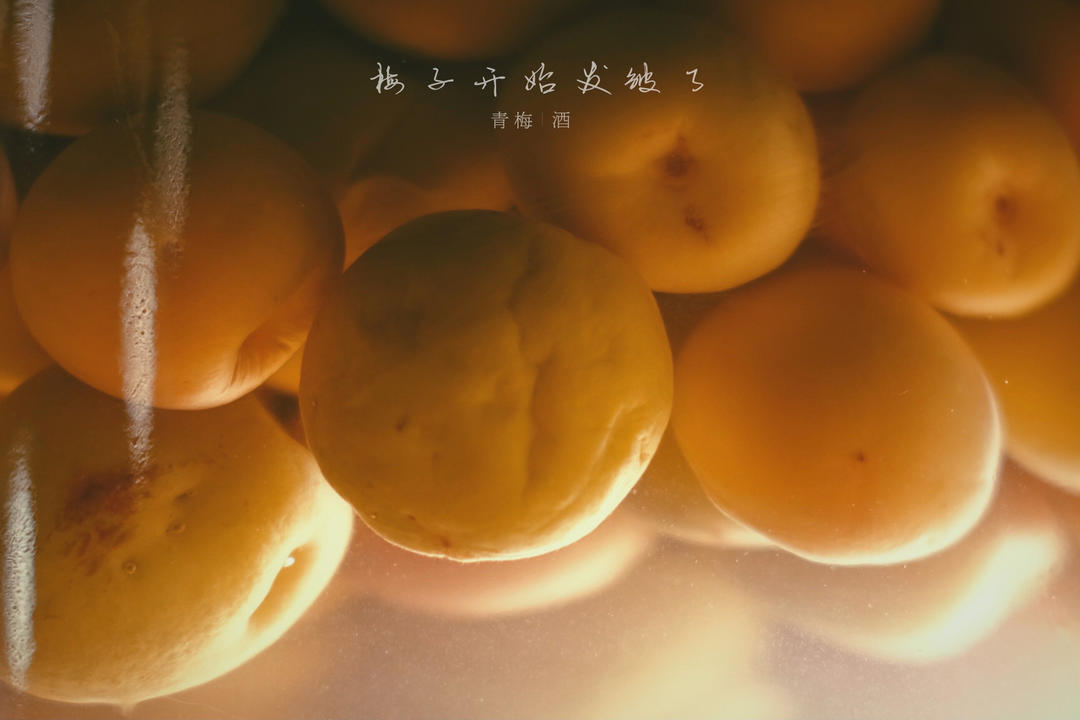 日常小甜点&拍照练习