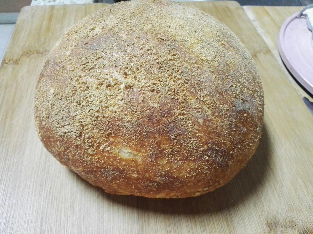 欧包/乡村面包-无油不用揉 No Knead Bread