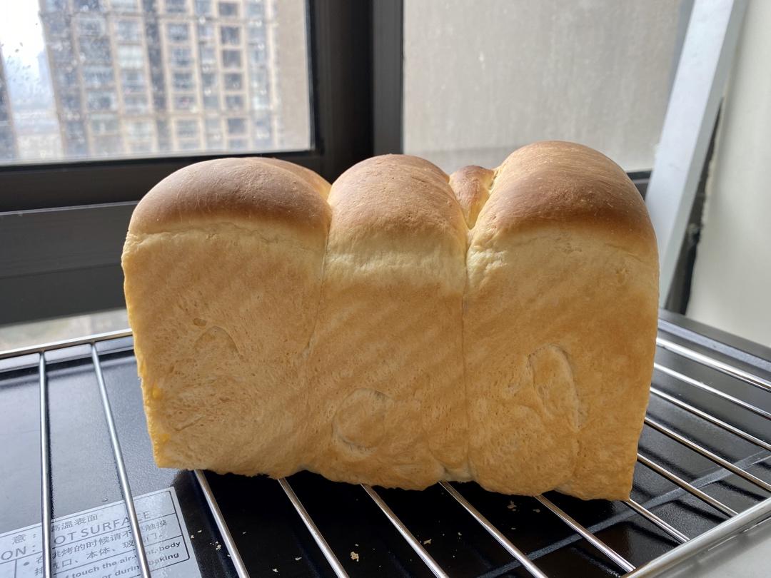 奶酪金钱小面包