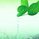 7206_rxns