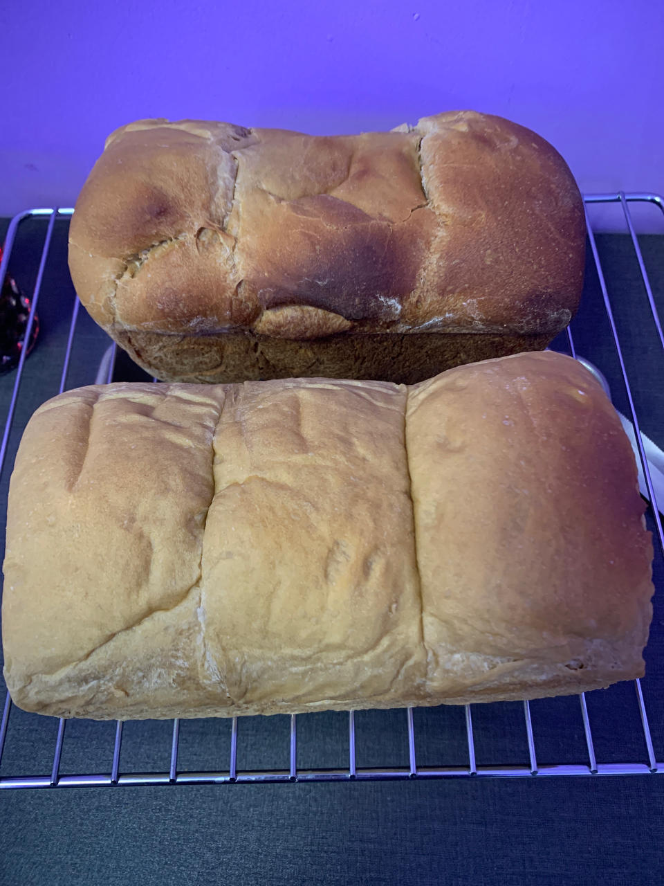 拿铁咖啡吐司（柔软又有韧性！！）