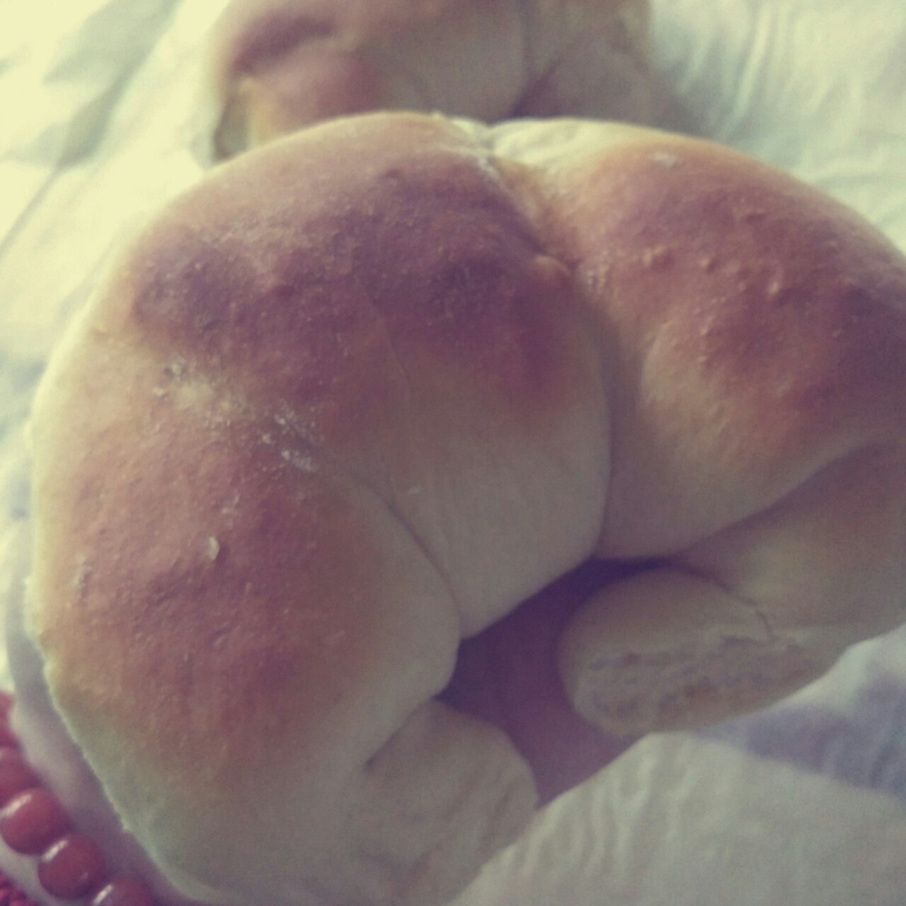 Grace爱面包