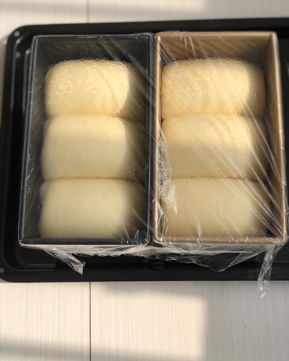 夺命软吐司(๑´ڡ`๑)超软拉丝极速方便的一次发酵吐司