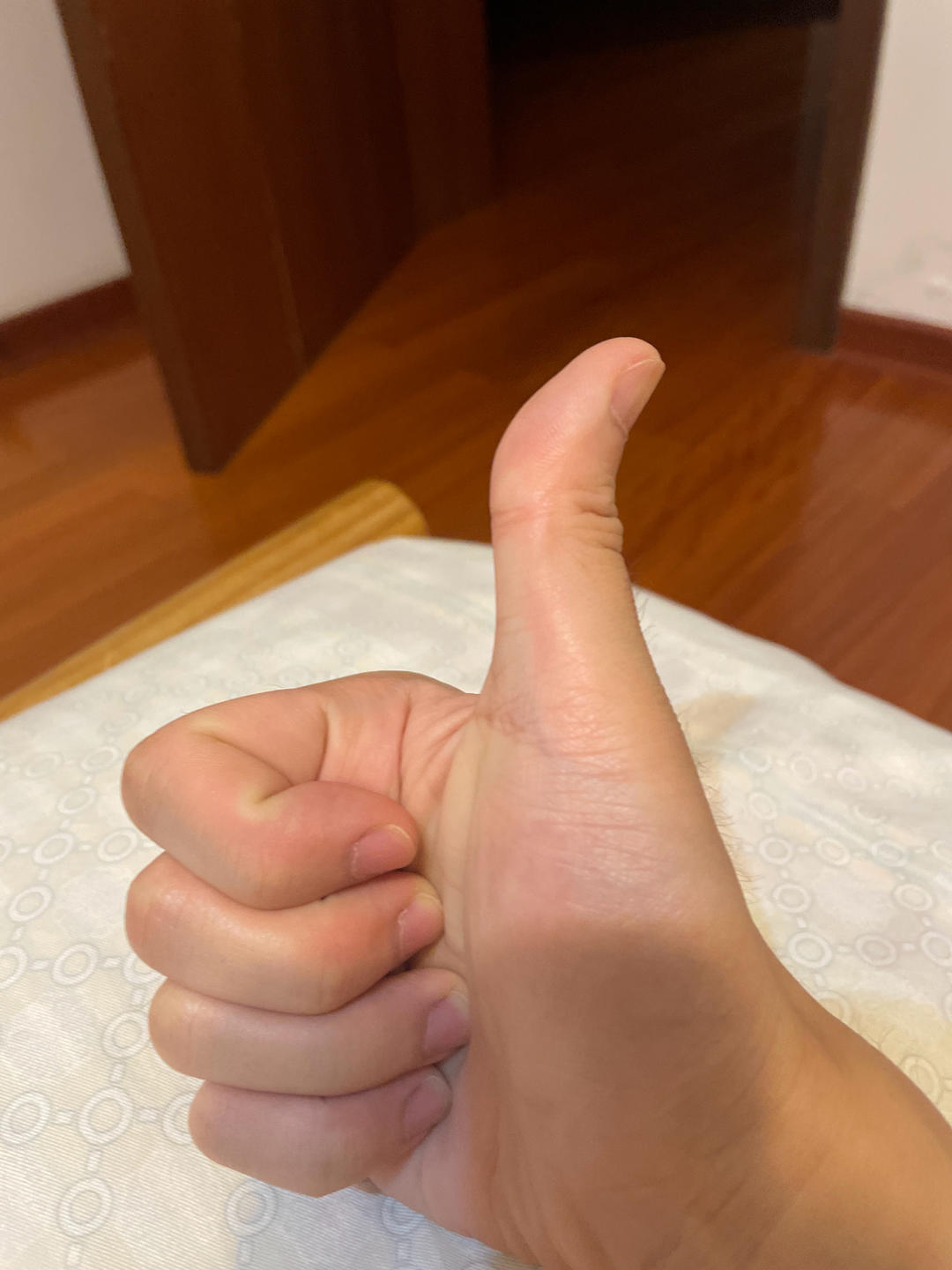 永远出征的堂吉诃德