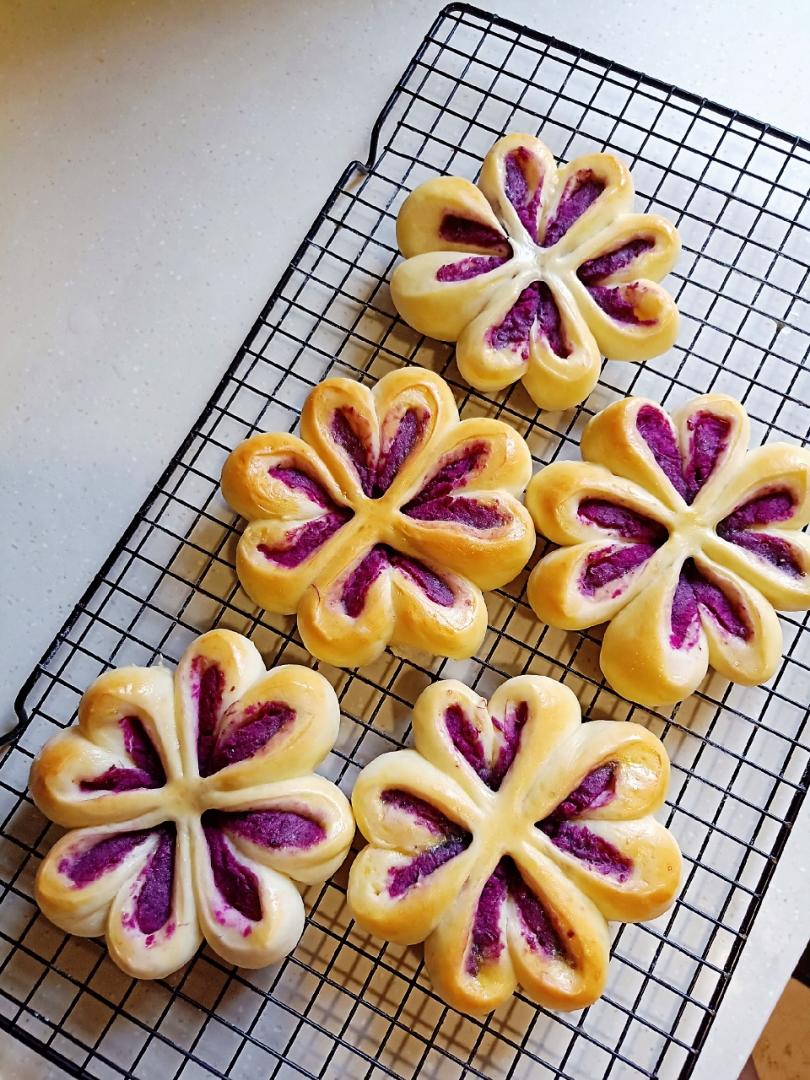 紫薯四叶草面包（汤种法）