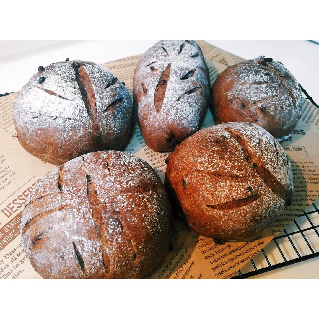 巧克力蔓越莓软欧 Rano Bread