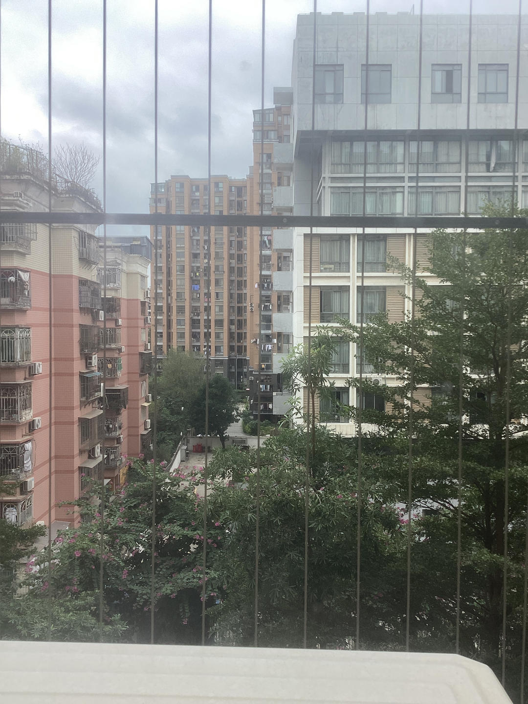 懒人甜品‼️火龙果果冻🌸冰凉Q弹好吃