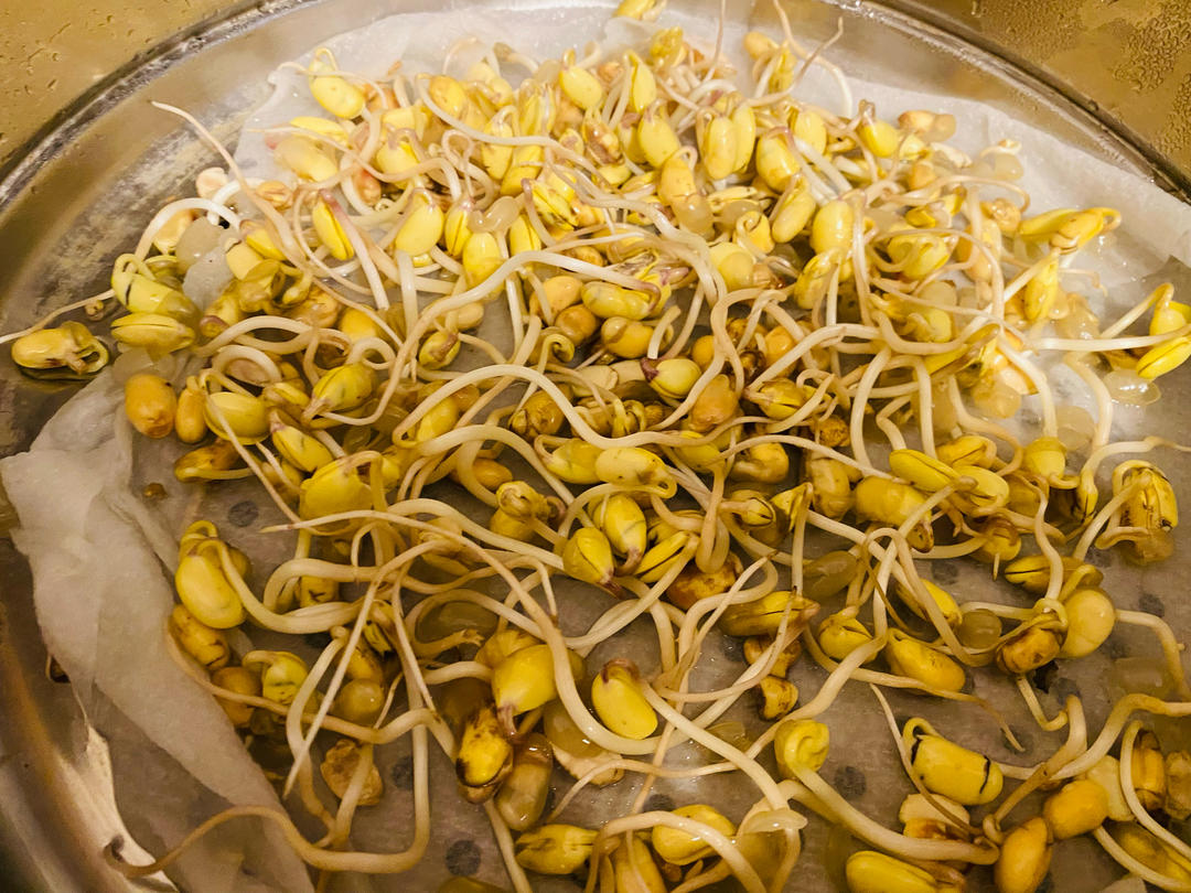 沥水篮发豆芽