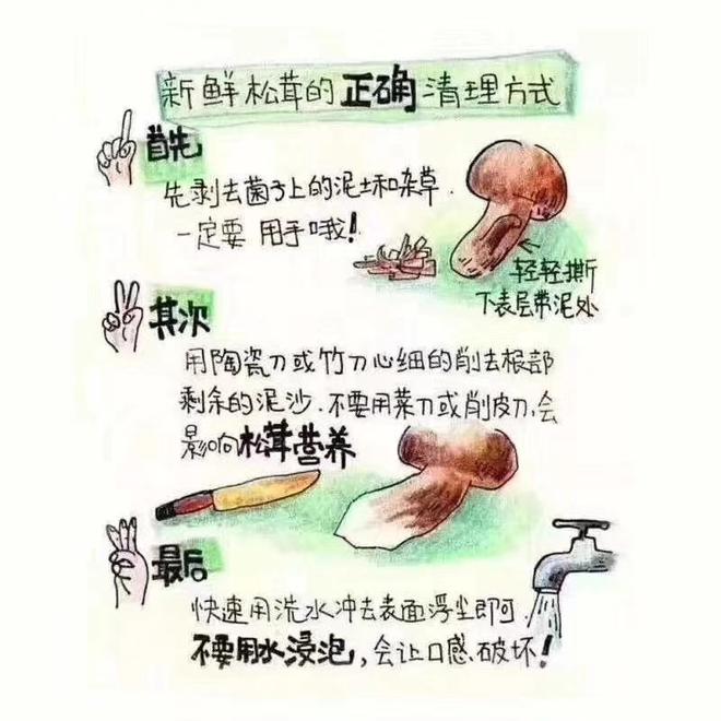 松茸的正确保存与清洗方法的做法