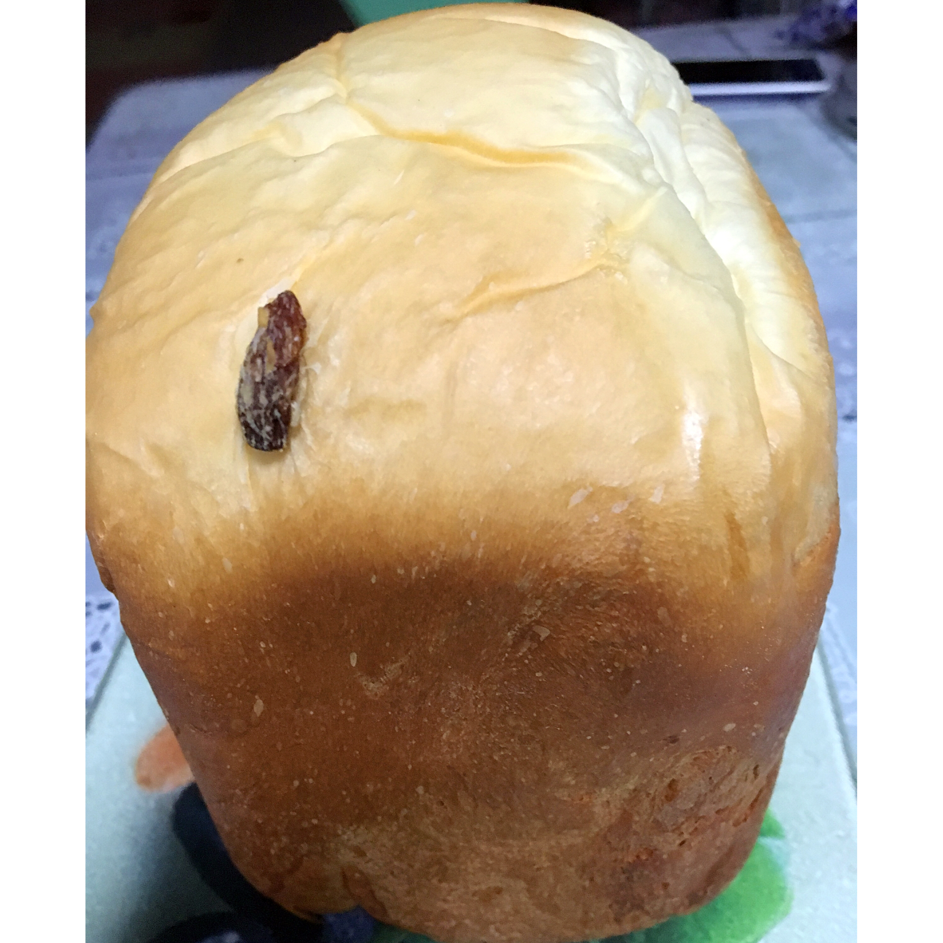 提子土司（柏翠面包机PE6280）自用方子