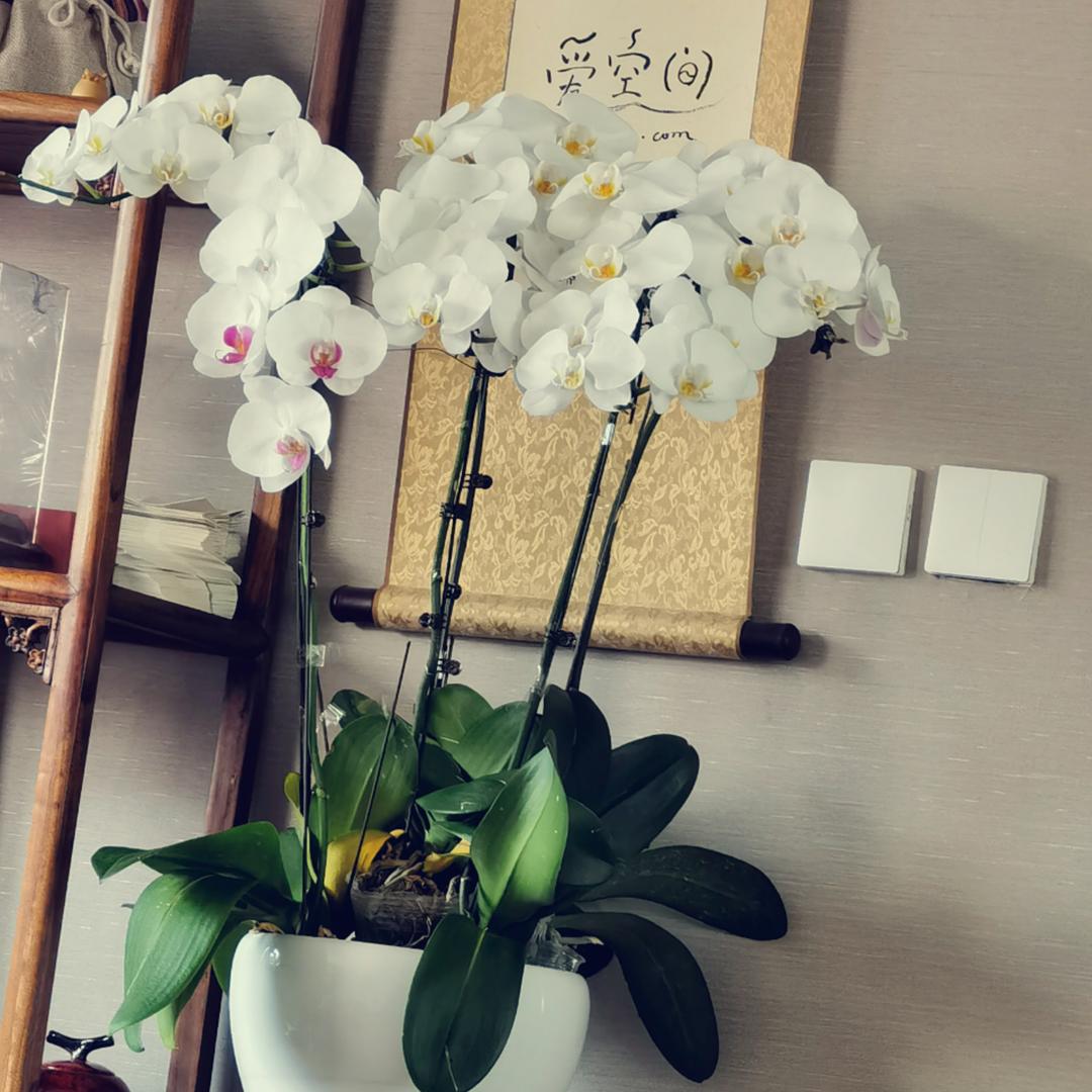 钱多多姐姐