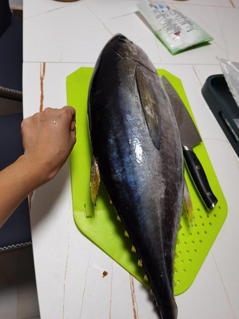 金枪鱼吃法（从杀鱼开始）