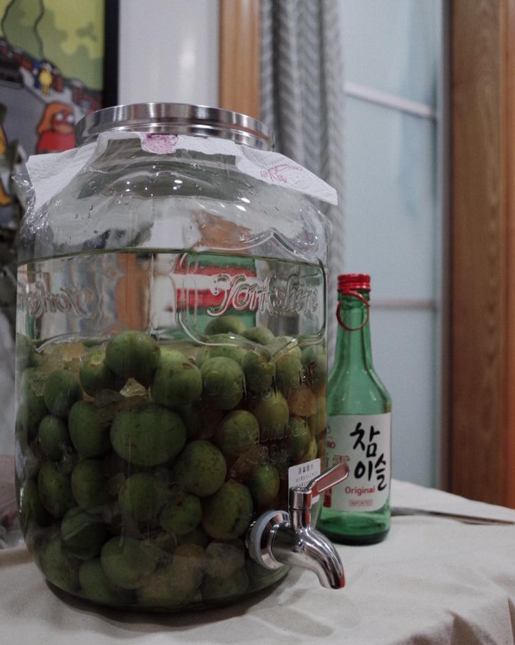 青梅酒（优的春日私酿第二話）