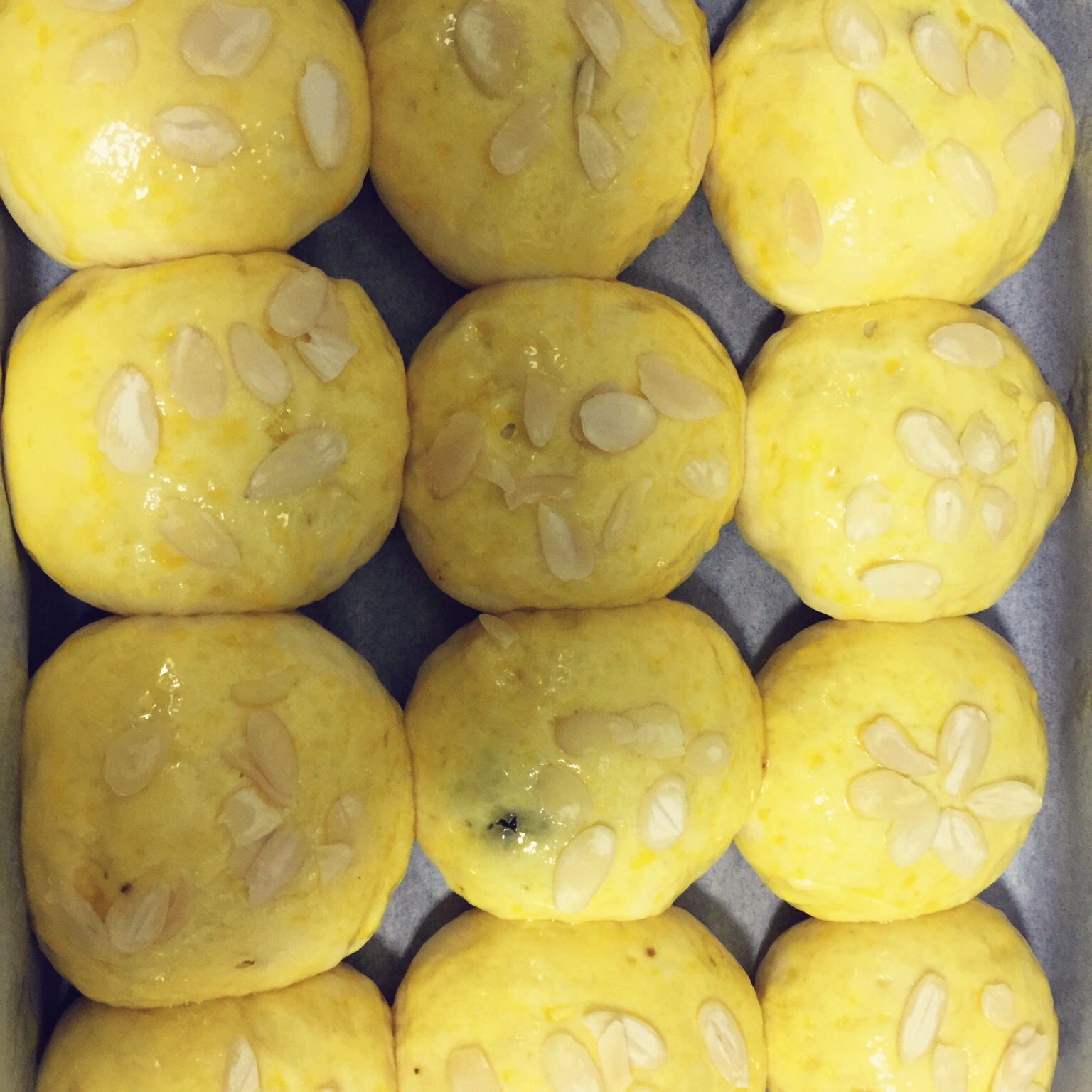 鲜奶油小餐包（一次发酵）