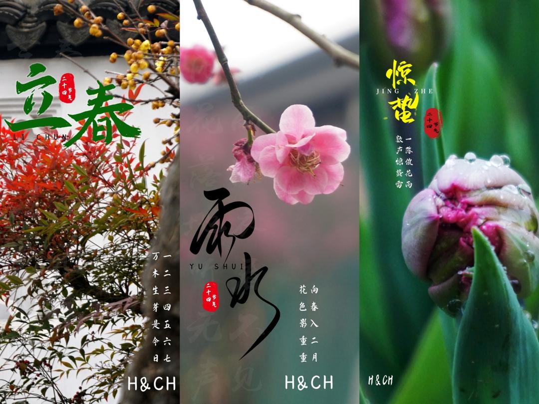 二十四节气的图