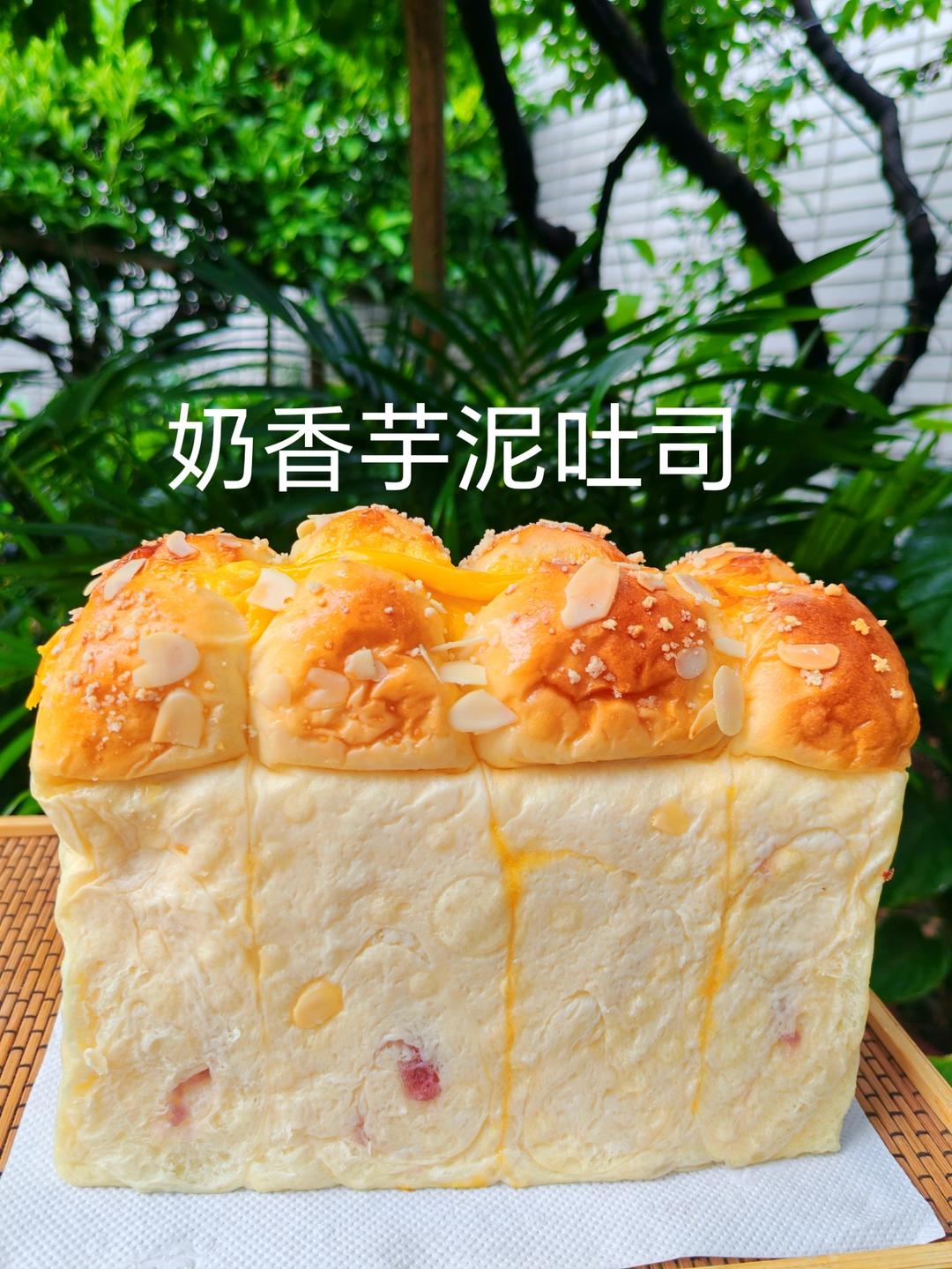 芋泥脑袋必做：柔软拉丝的波兰种奶香芋泥吐司！