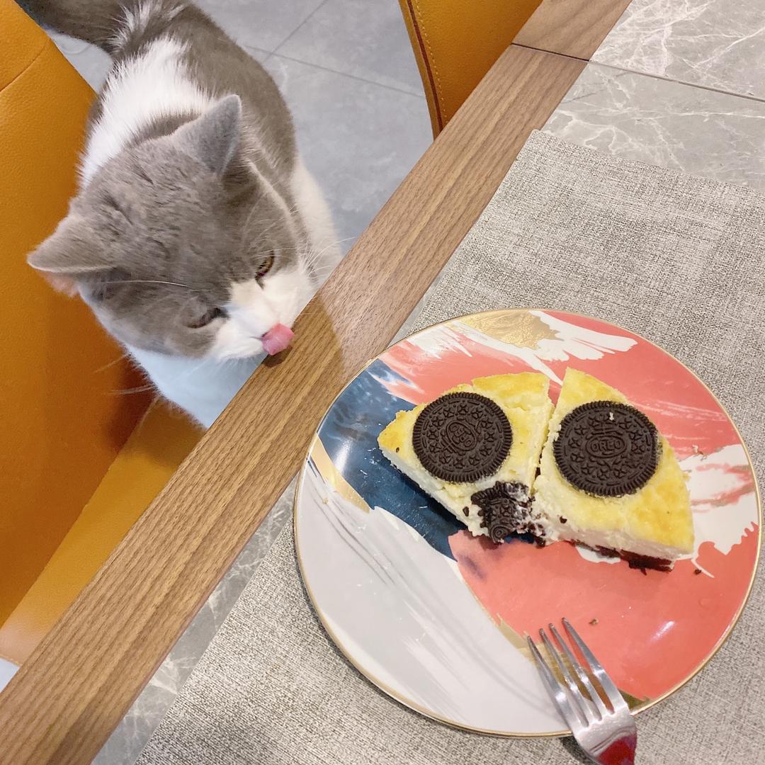 ㊙️免打发零难度‼️入口即化的奥利奥芝士蛋糕