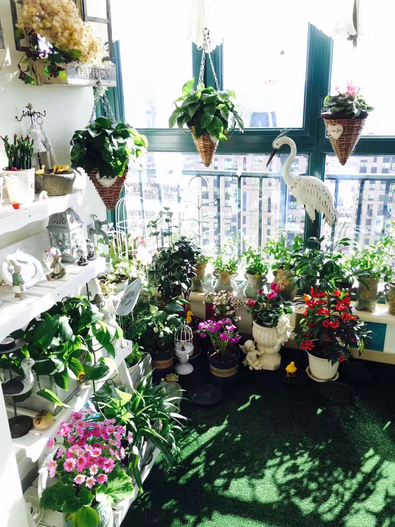 镜头之下，光影之间~