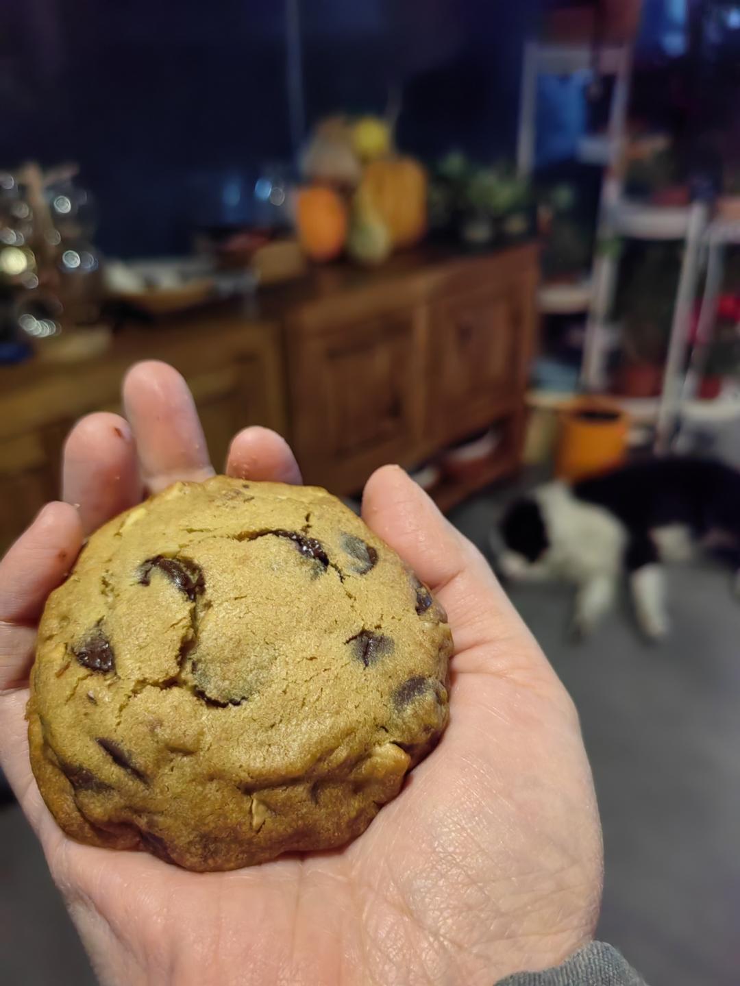 你可以试试这个饼干食谱 不同于普通的配方 我们每次做就被秒光！