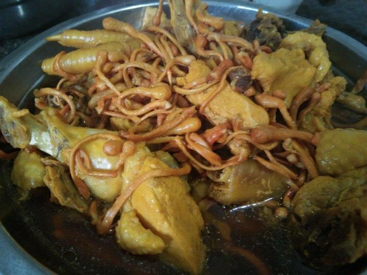 红菇鸡汤（一锅三菜）