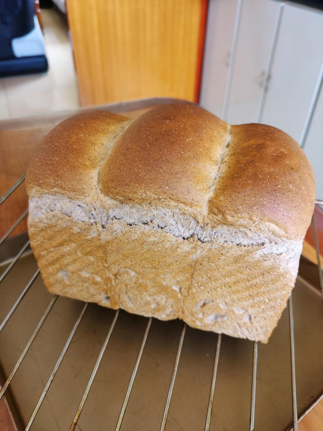 黑全麦波兰种吐司，这么柔软简直怀疑你是个假全麦！