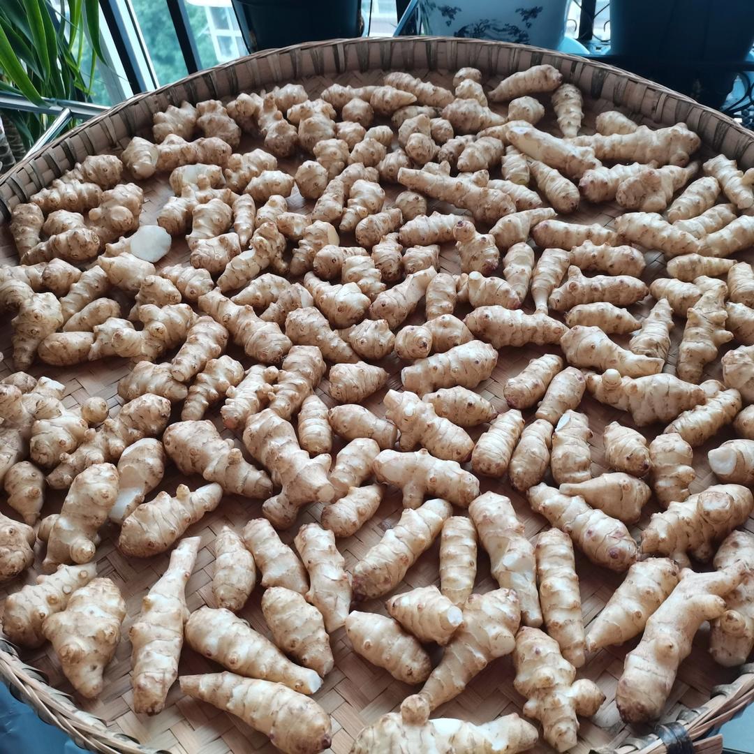 酱腌洋姜