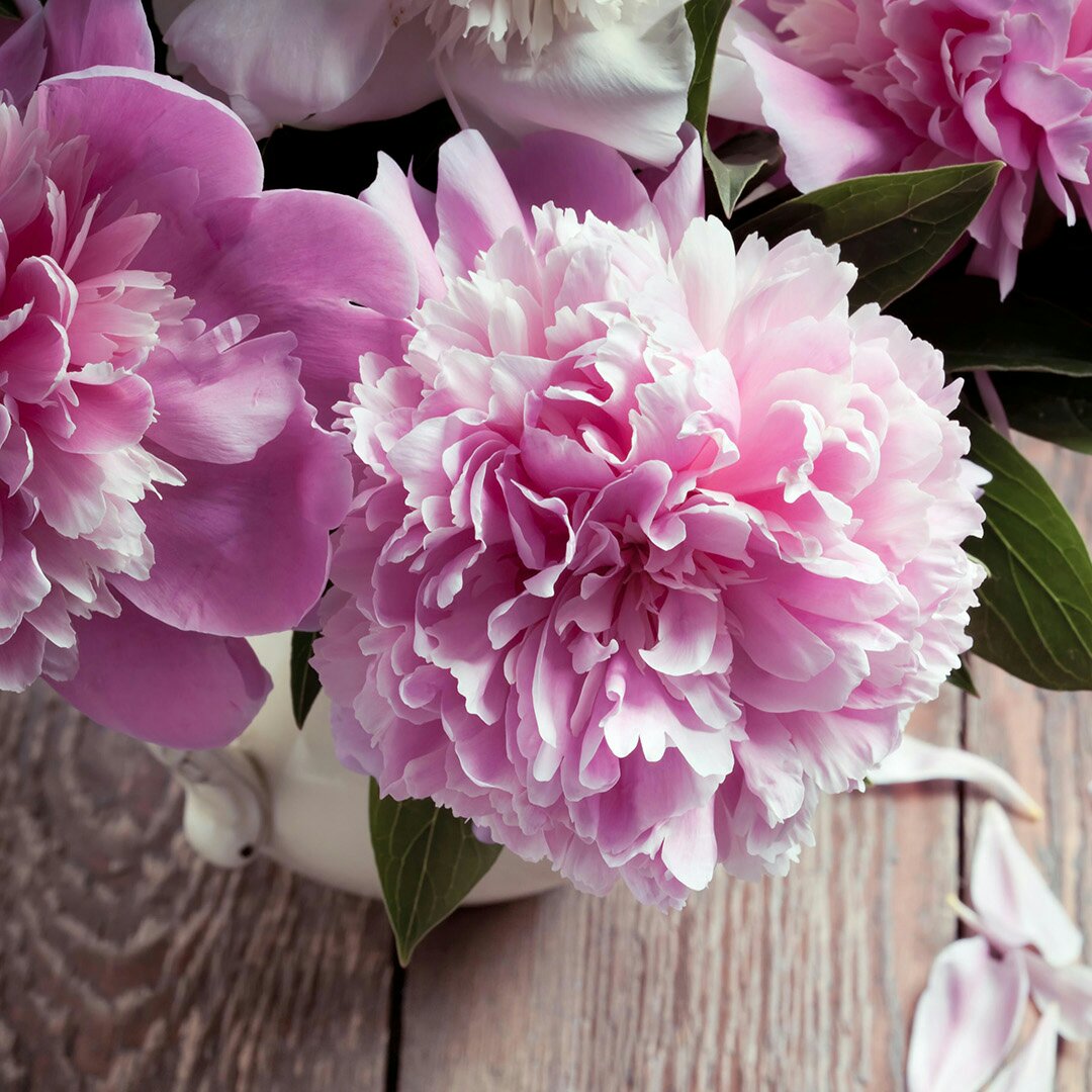 手机用户5329_qp75