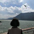 不爱做饭的小王x