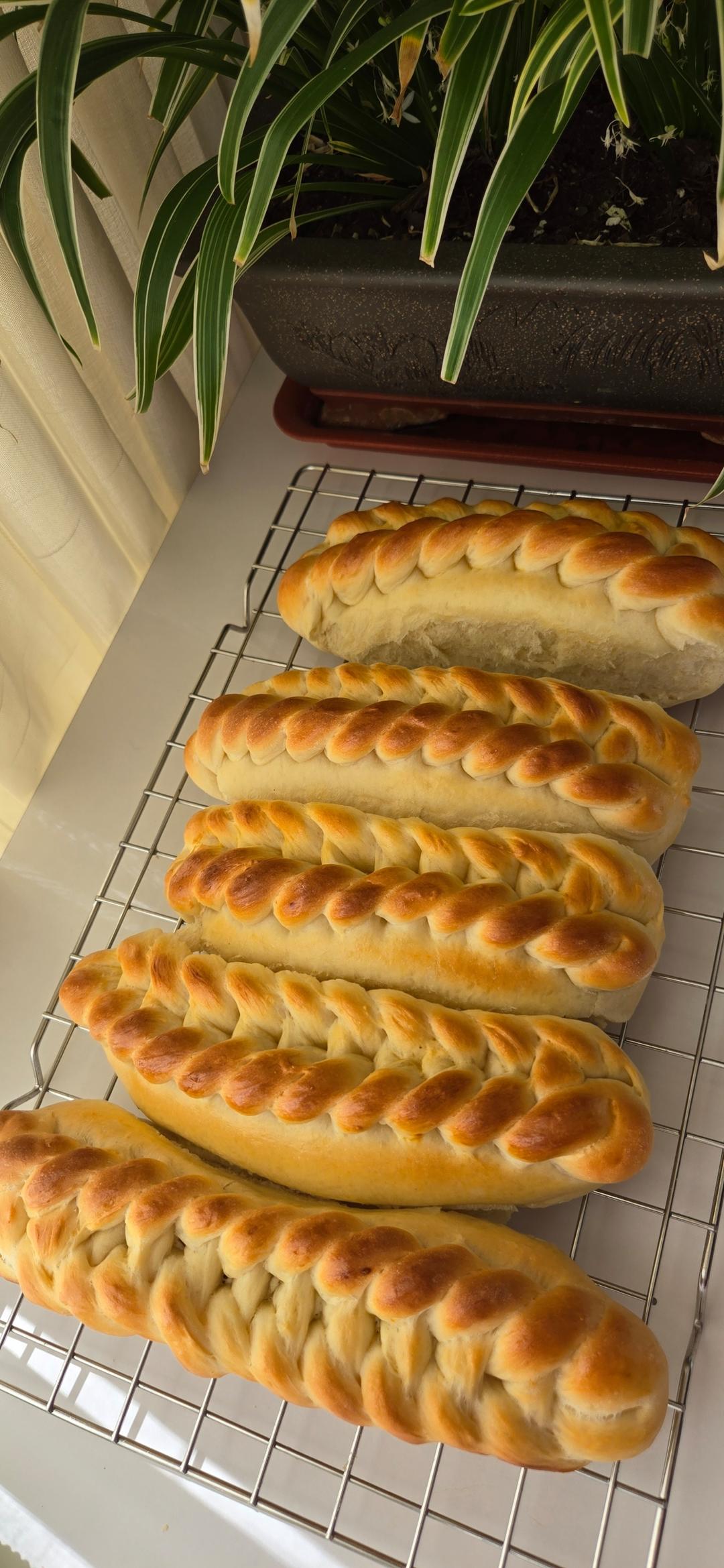 红茶乳酪排包｜烫种法