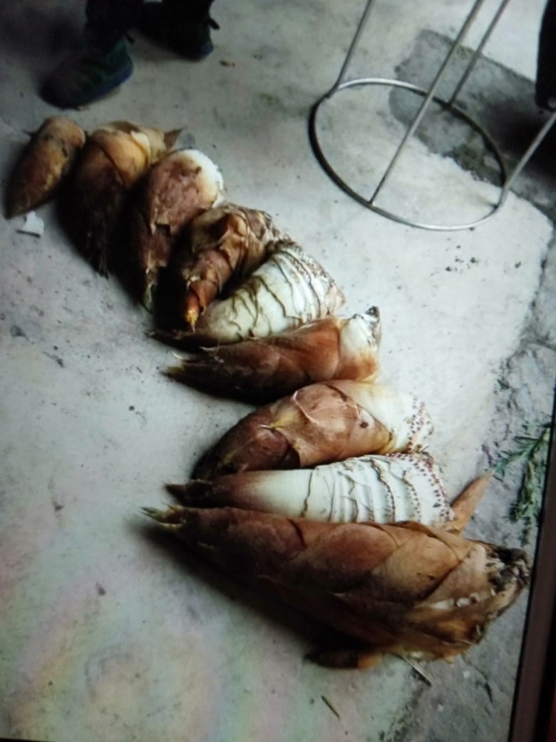 雪菜咸肉炖笋，江南春的做法 步骤5