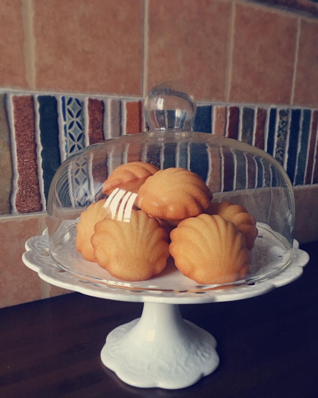 柠檬白巧克力玛德琳