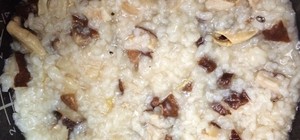 百变电饭锅的封面