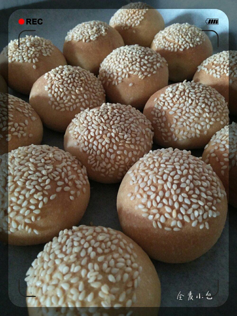 全麦小餐包