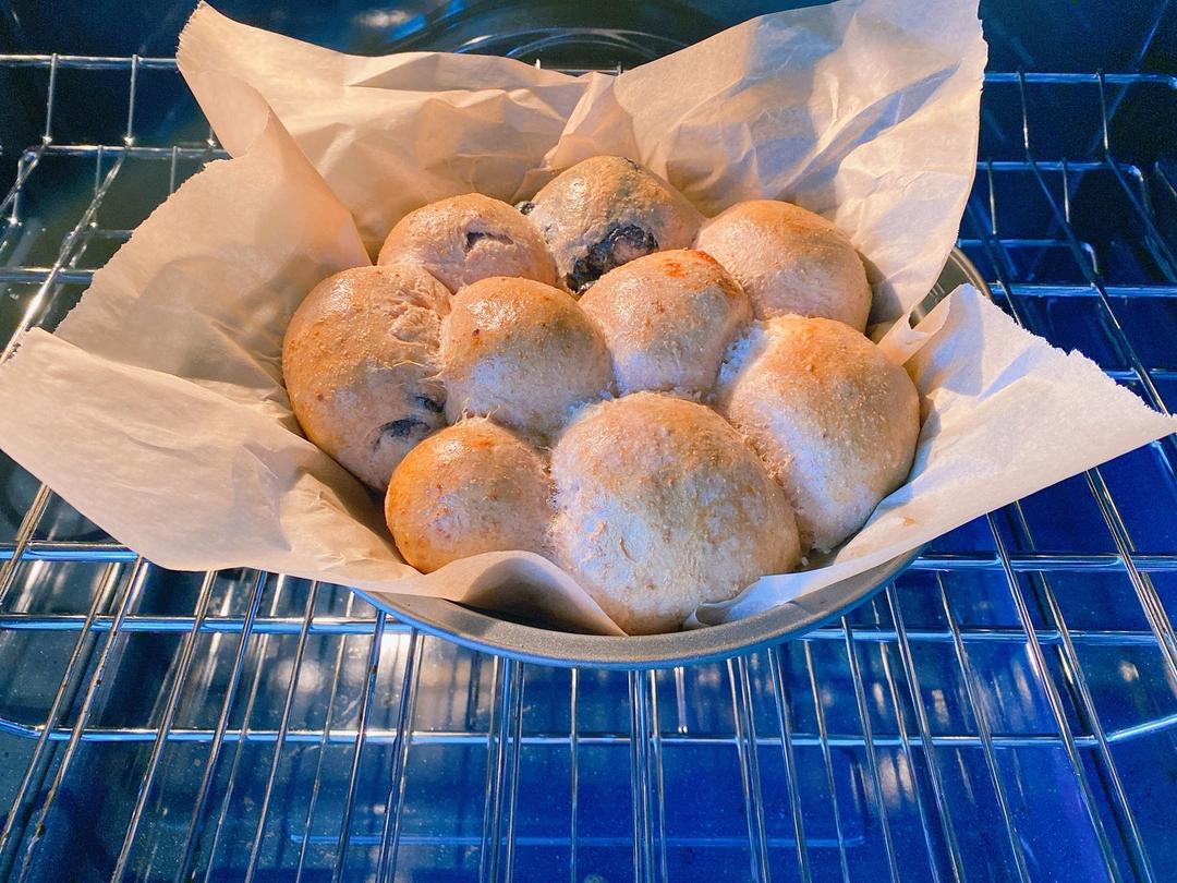 全麦夹心小面包🍞全麦乳酪小面包 黑芝麻 肉松 椰丝小餐包 低脂低卡减肥减脂的做法 步骤19