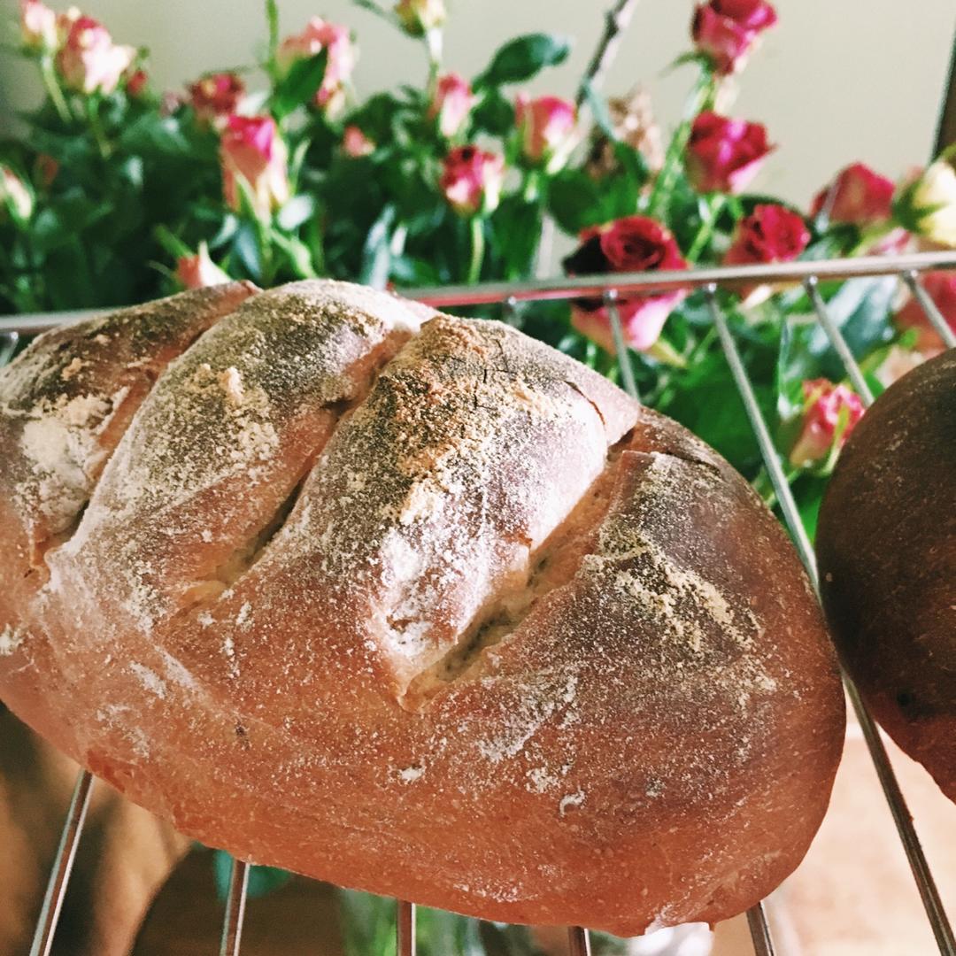 全麦蔓越莓乳酪软欧（附法国老面配方）