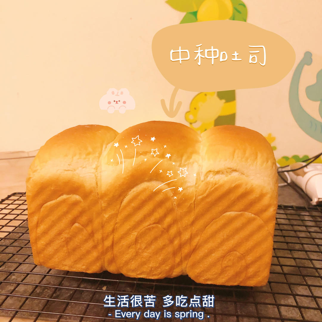 70%中种牛奶吐司