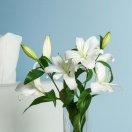 手机用户1126_lqgd