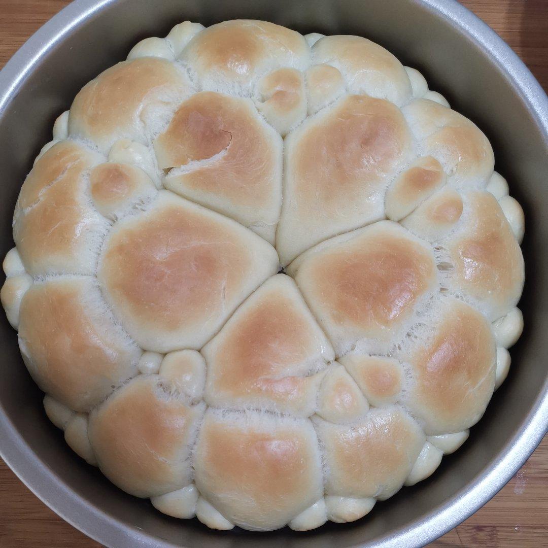 萌萌哒挤挤小熊面包